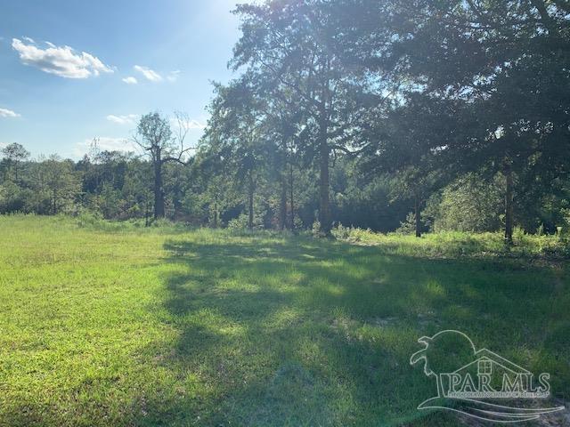 501 Elsie Davis Road Century, FL 32535 - Photo 25 of 44 Gallery Image 25