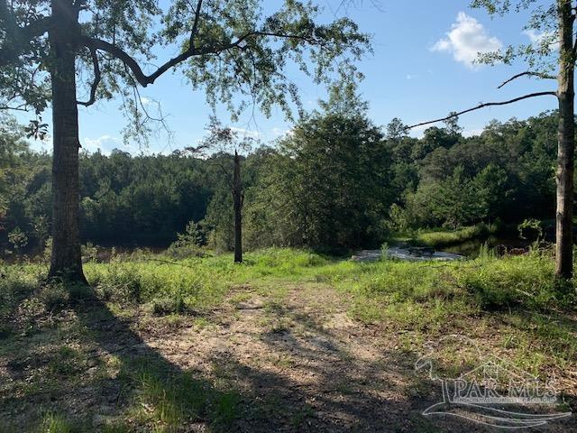 501 Elsie Davis Road Century, FL 32535 - Photo 27 of 44 Gallery Image 27