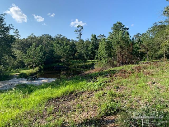 501 Elsie Davis Road Century, FL 32535 - Photo 29 of 44 Gallery Image 29