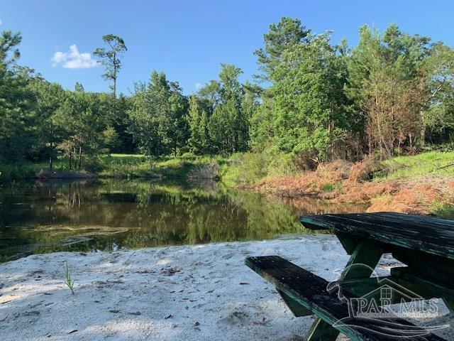 501 Elsie Davis Road Century, FL 32535 - Photo 31 of 44 Gallery Image 31