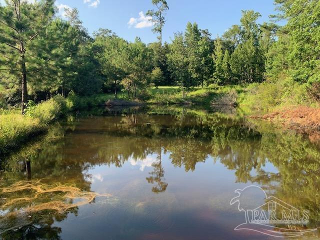 501 Elsie Davis Road Century, FL 32535 - Photo 32 of 44 Gallery Image 32