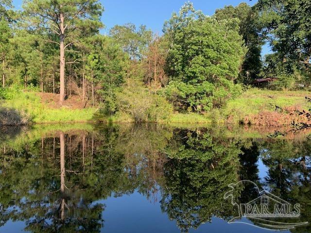 501 Elsie Davis Road Century, FL 32535 - Photo 34 of 44 Gallery Image 34