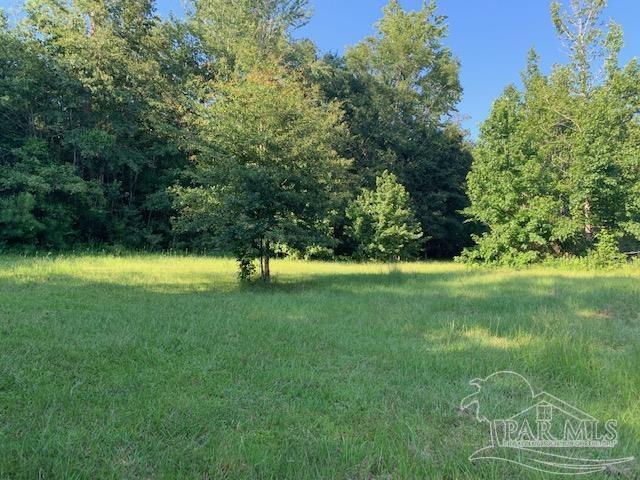 501 Elsie Davis Road Century, FL 32535 - Photo 35 of 44 Gallery Image 35