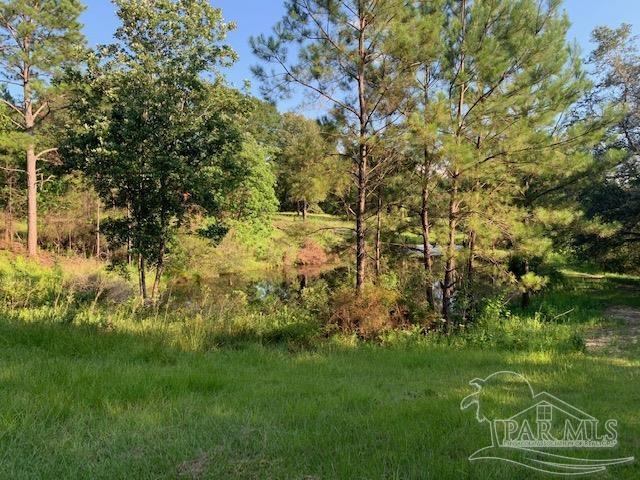 501 Elsie Davis Road Century, FL 32535 - Photo 36 of 44 Gallery Image 36