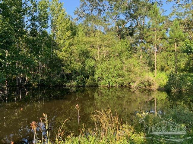 501 Elsie Davis Road Century, FL 32535 - Photo 37 of 44 Gallery Image 37