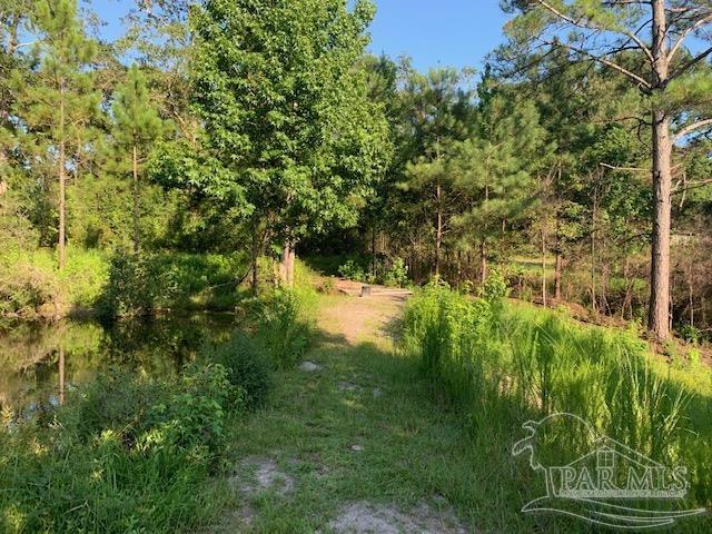 501 Elsie Davis Road Century, FL 32535 - Photo 38 of 44 Gallery Image 38