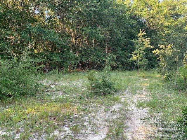 501 Elsie Davis Road Century, FL 32535 - Photo 40 of 44 Gallery Image 40