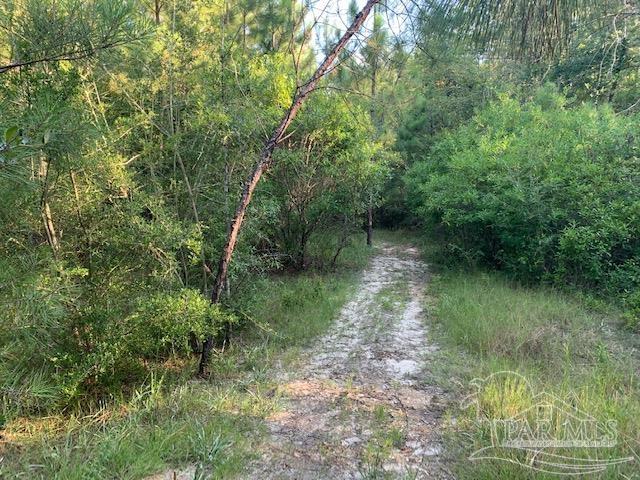 501 Elsie Davis Road Century, FL 32535 - Photo 41 of 44 Gallery Image 41