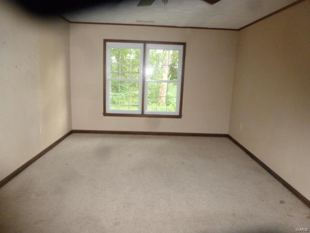 2920 Black Diamond Road Nashville, IL 62263 - Photo 5 of 10 Gallery Image 5