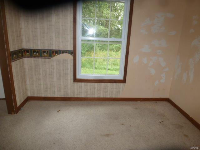 2920 Black Diamond Road Nashville, IL 62263 - Photo 7 of 10 Gallery Image 7