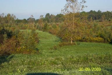 0 Swishers Mill Road Lewisburg, OH 45338 - Photo 1 of 1