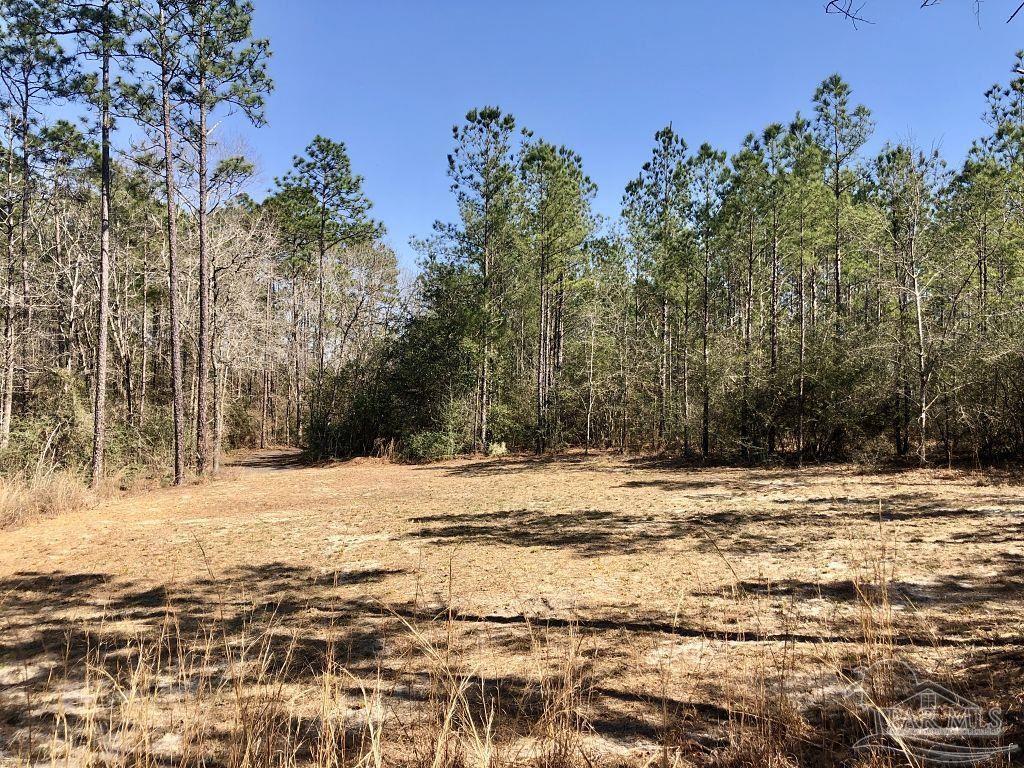 Lot 19 Mile Road Milton, FL 32571 - Photo 1 of 31