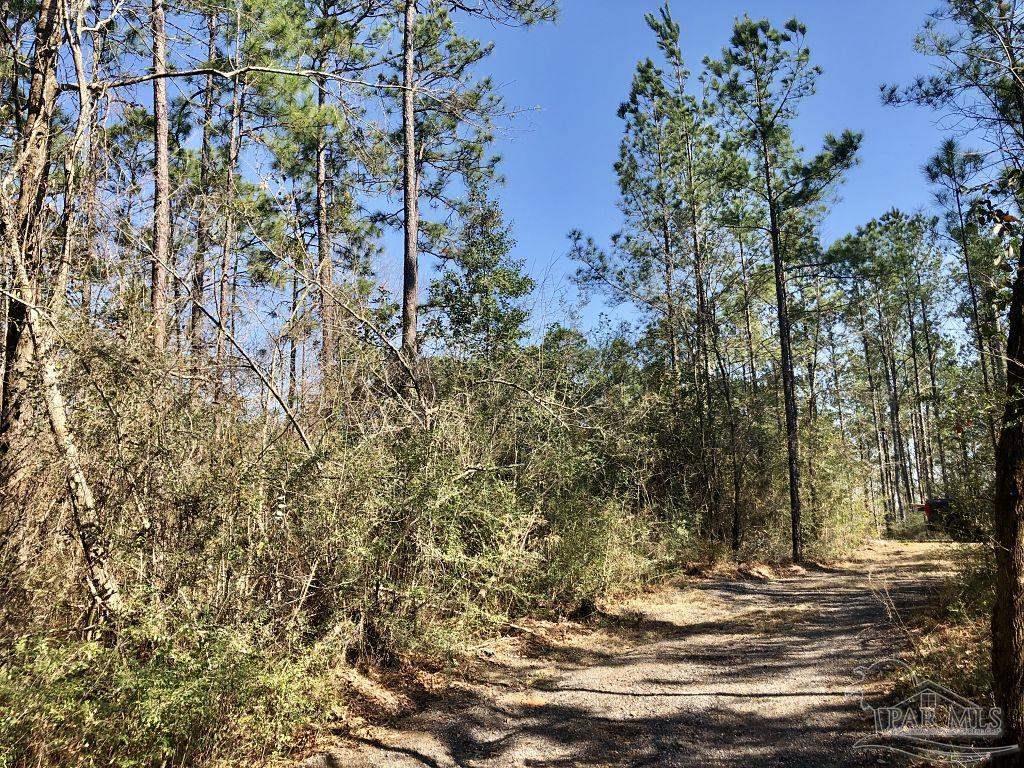 Lot 19 Mile Road Milton, FL 32571 - Photo 14 of 31