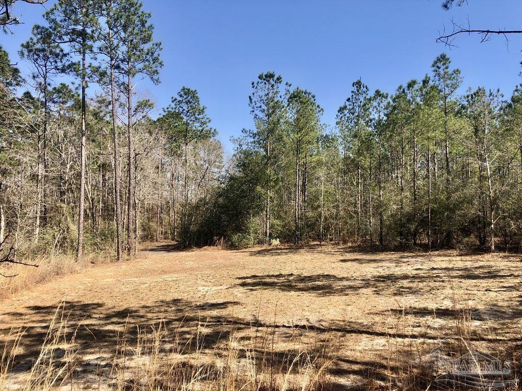 Lot 19 Mile Road Milton, FL 32571 - Photo 17 of 31