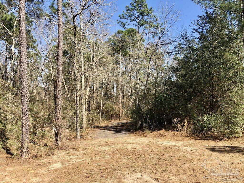 Lot 19 Mile Road Milton, FL 32571 - Photo 18 of 31