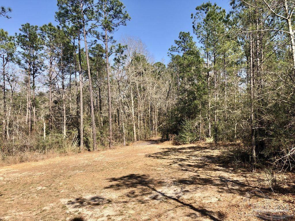 Lot 19 Mile Road Milton, FL 32571 - Photo 2 of 31