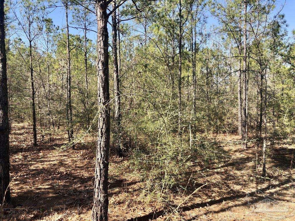 Lot 19 Mile Road Milton, FL 32571 - Photo 26 of 31