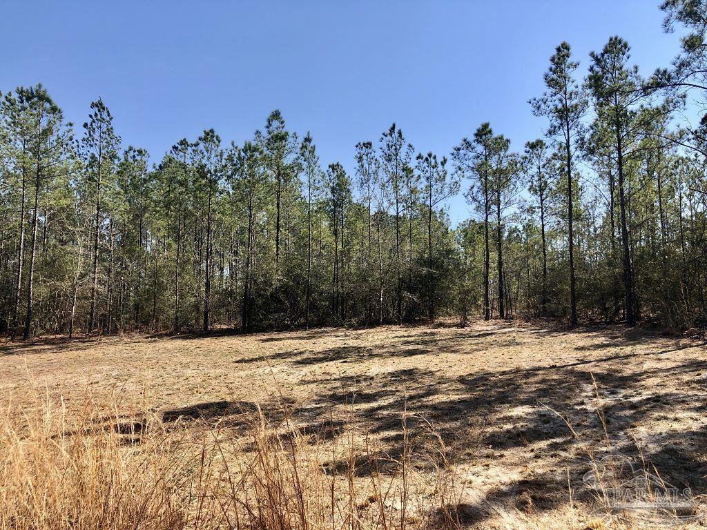 Lot 19 Mile Road Milton, FL 32571 - Photo 3 of 31