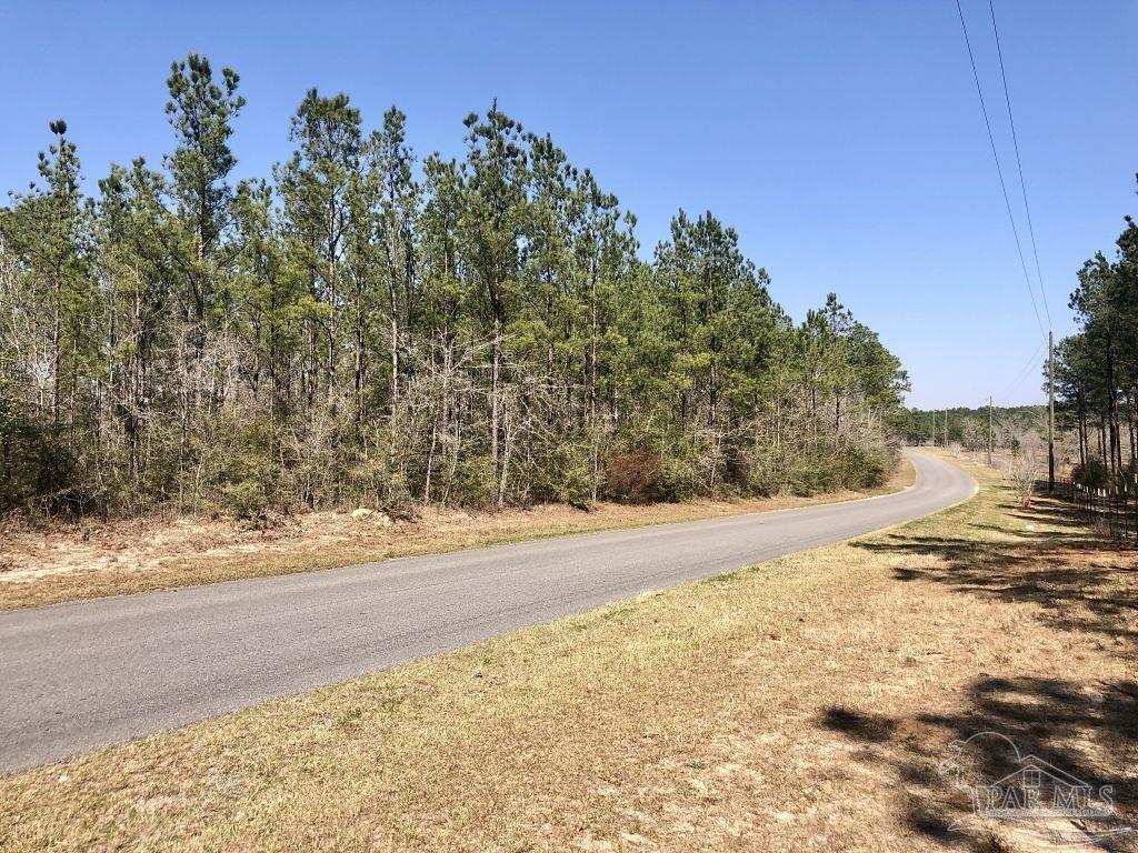 Lot 19 Mile Road Milton, FL 32571 - Photo 7 of 31