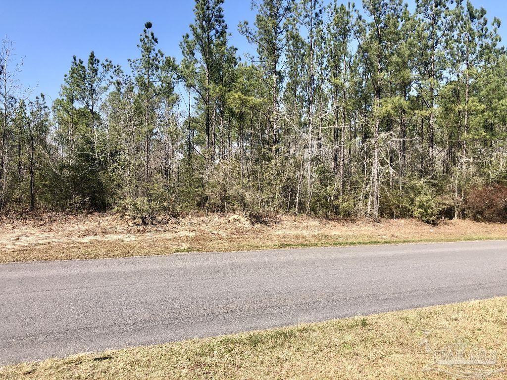Lot 19 Mile Road Milton, FL 32571 - Photo 8 of 31