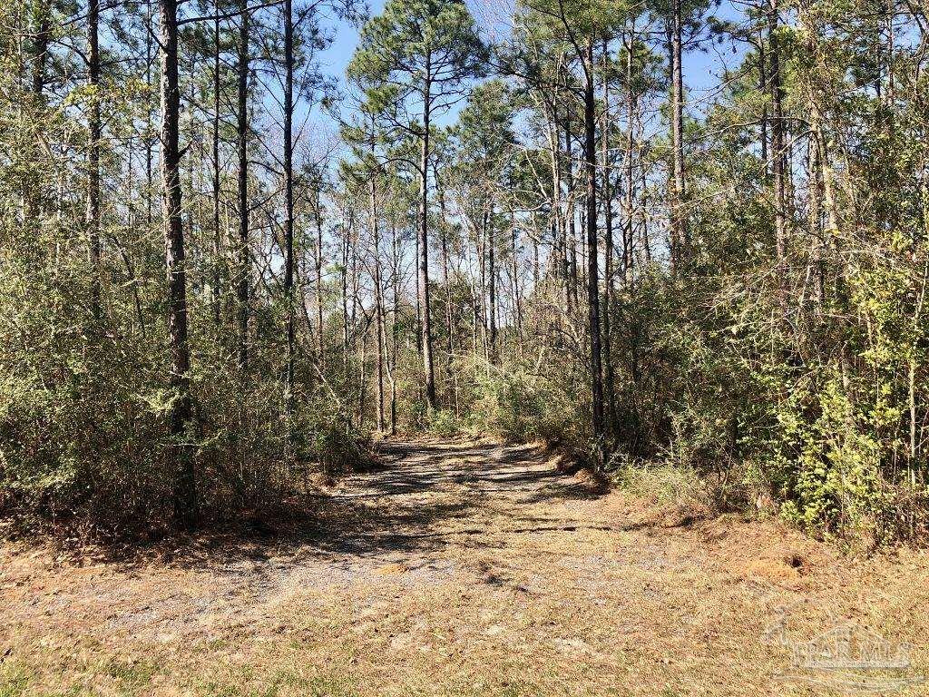 Lot 19 Mile Road Milton, FL 32571 - Photo 10 of 31
