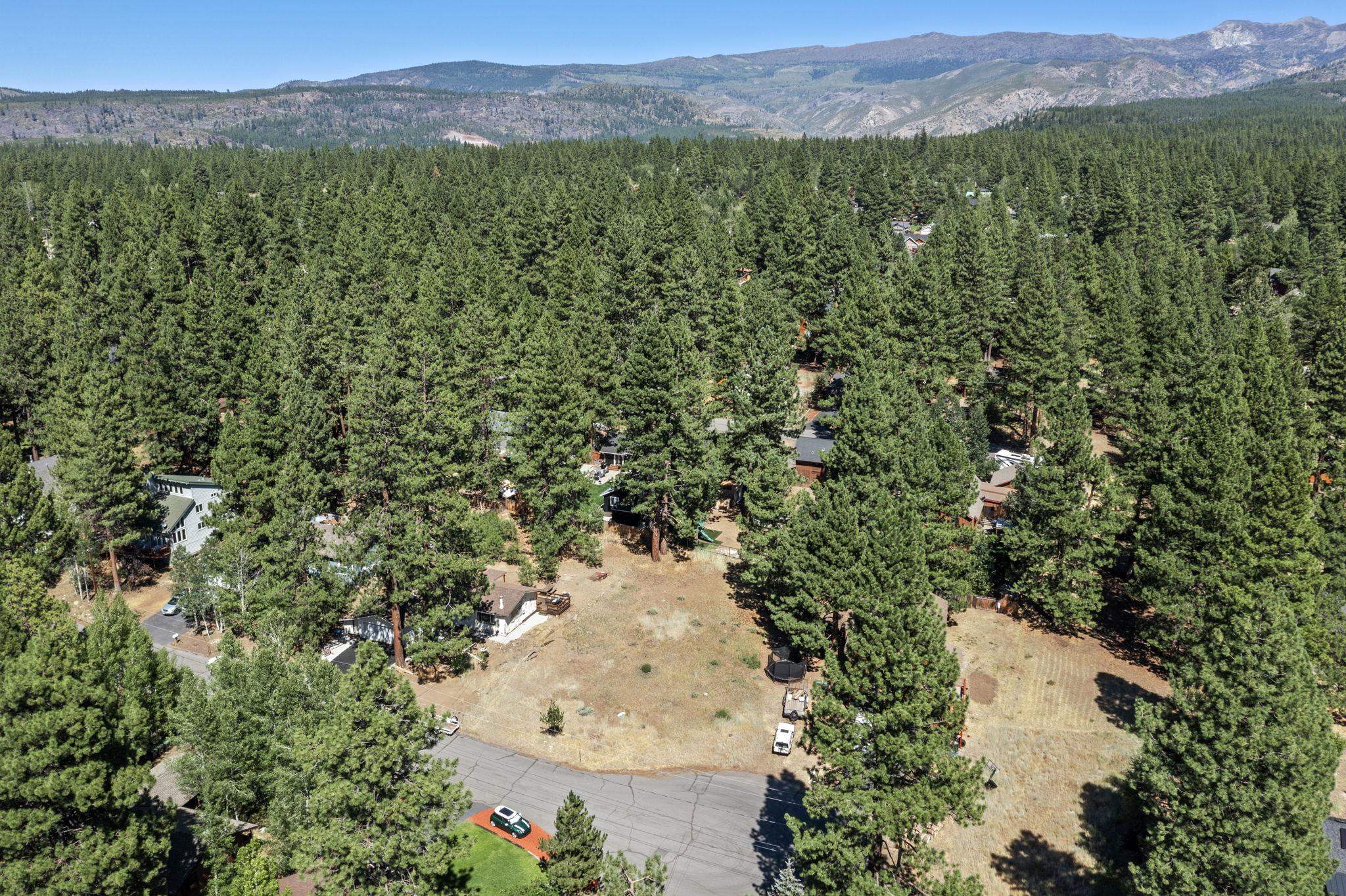 10583 Laburnham Circle Truckee, CA 96161 - Photo 8 of 14