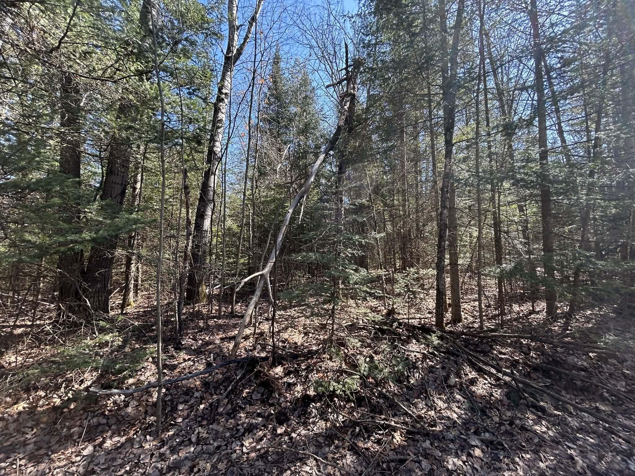 2.5-ac South Gerber Road Mio, MI 48647 - Photo 3 of 6 d4e7131d-b383-4a2b-8001-50087f7f8289