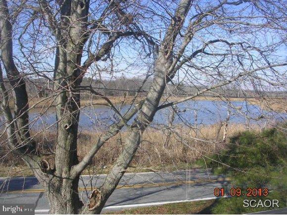 2572 Kitts Hummock Road, Unit 1 Dover, DE 19901 - Photo 16 of 24 Gallery Image 16