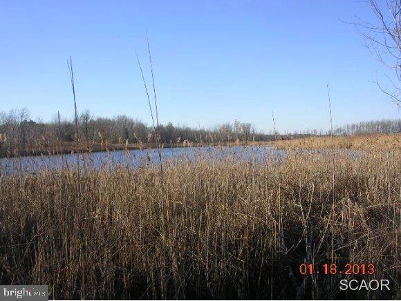 2572 Kitts Hummock Road, Unit 1 Dover, DE 19901 - Photo 3 of 24 Gallery Image 3