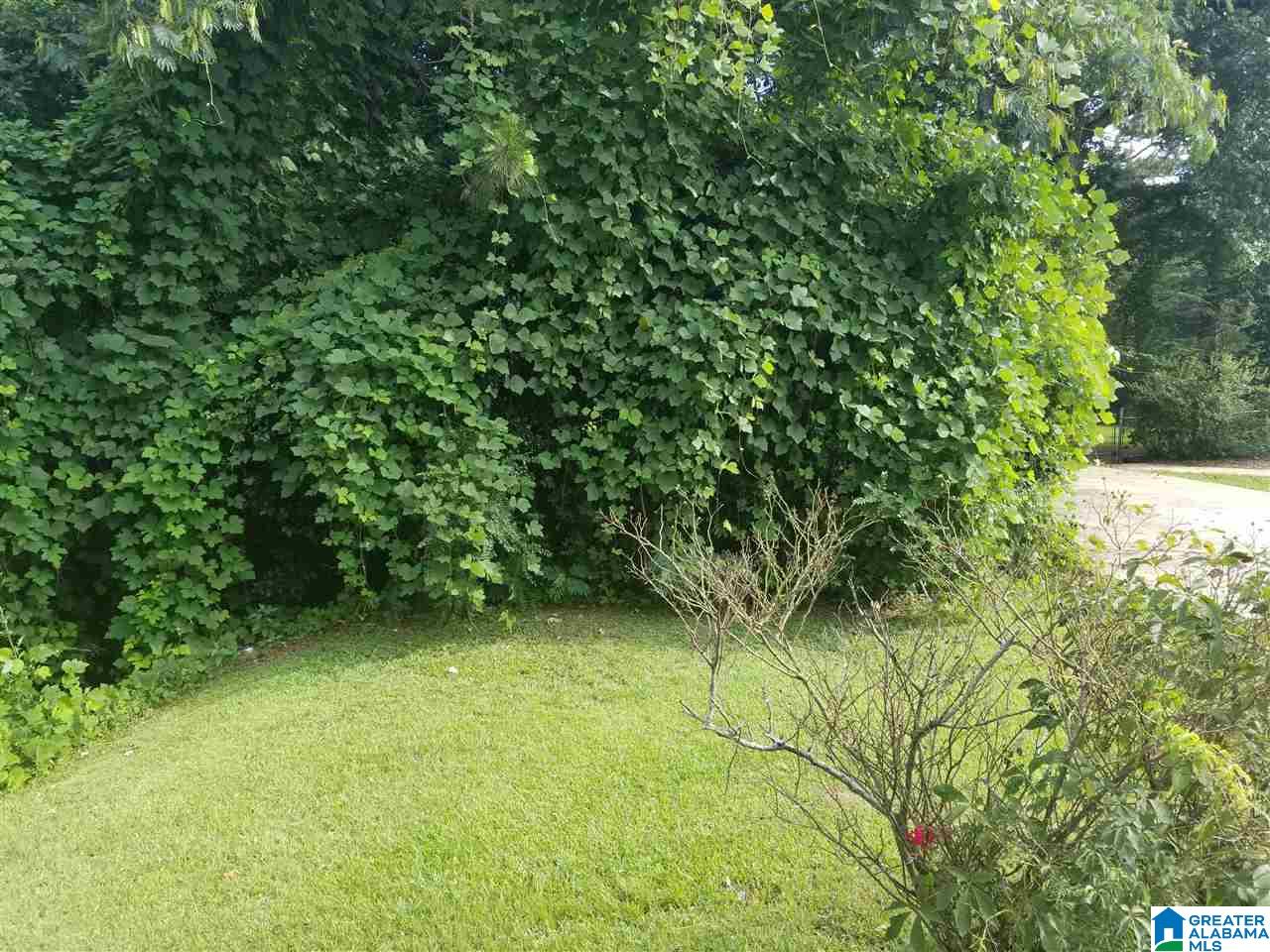 6524 Warrior River Road Bessemer, AL 35023 - Photo 13 of 50