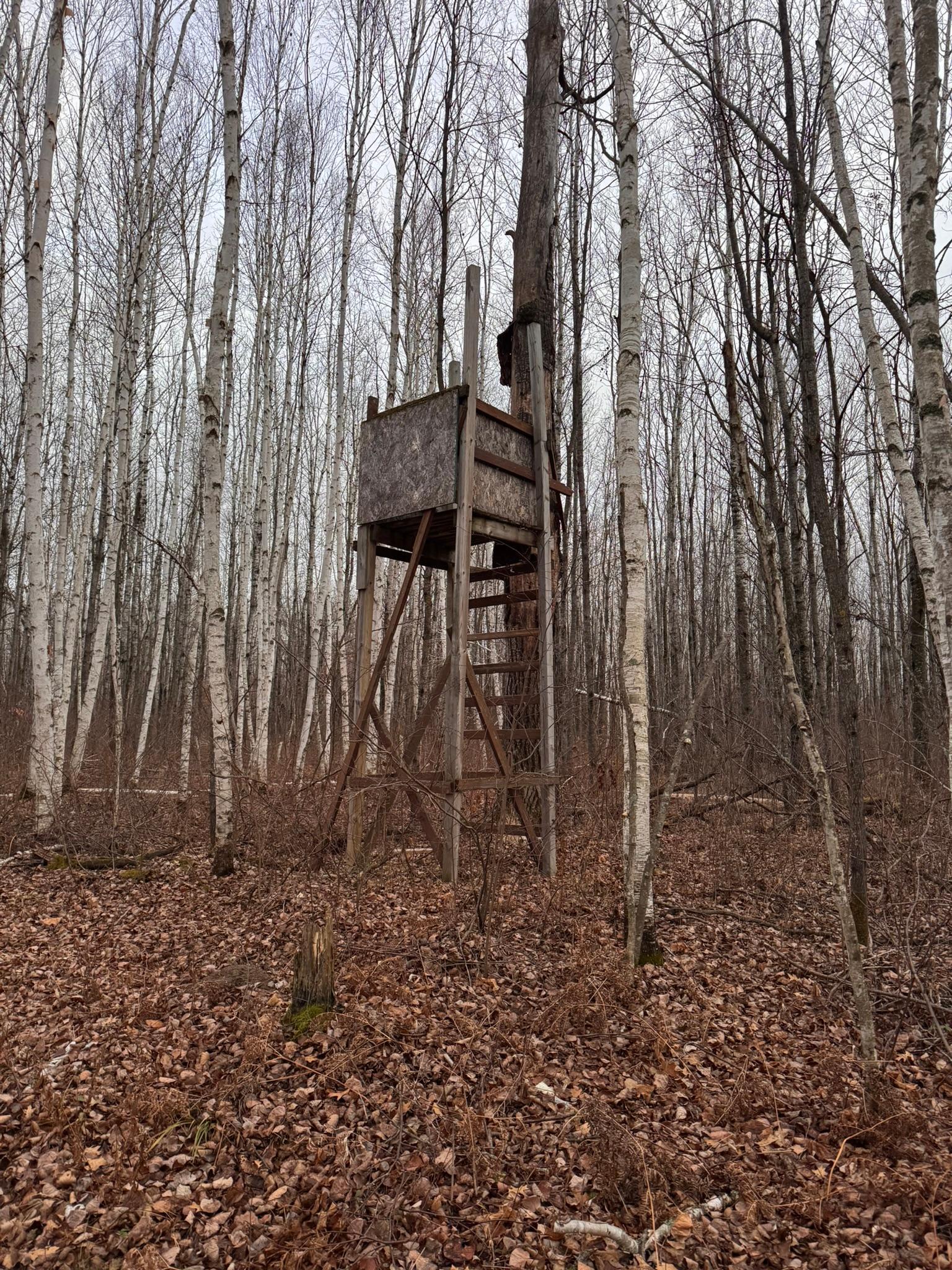 239 County 49 Northwest Pine River, MN 56474 - Photo 102 of 104