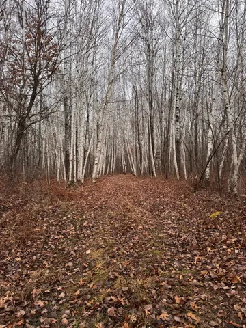 $619,400 | 239 County 49 Northwest, Pine River, MN 56474