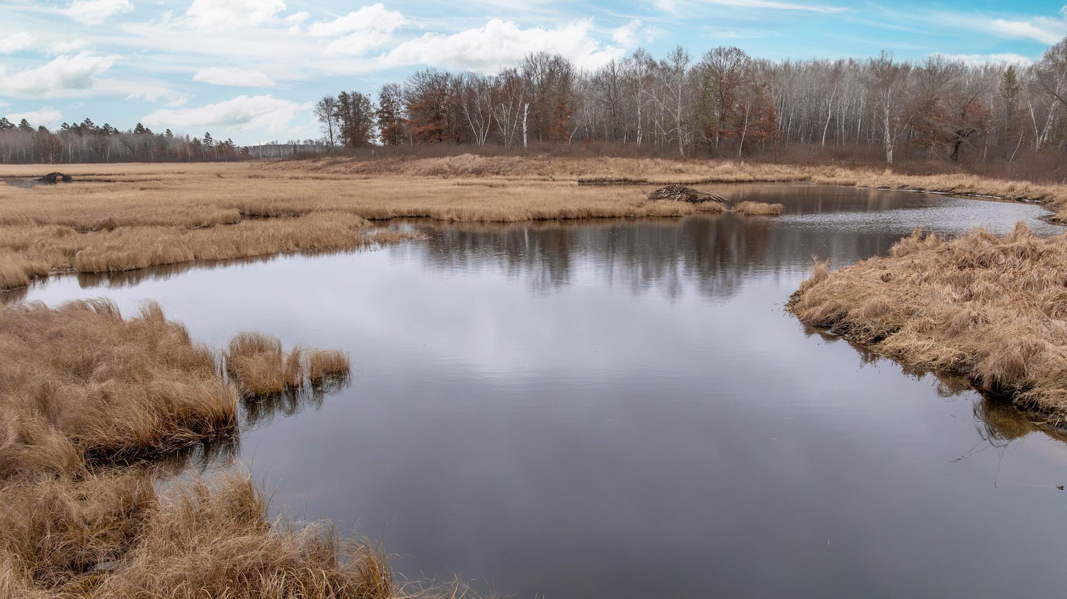 239 County 49 Northwest Pine River, MN 56474 - Photo 15 of 104