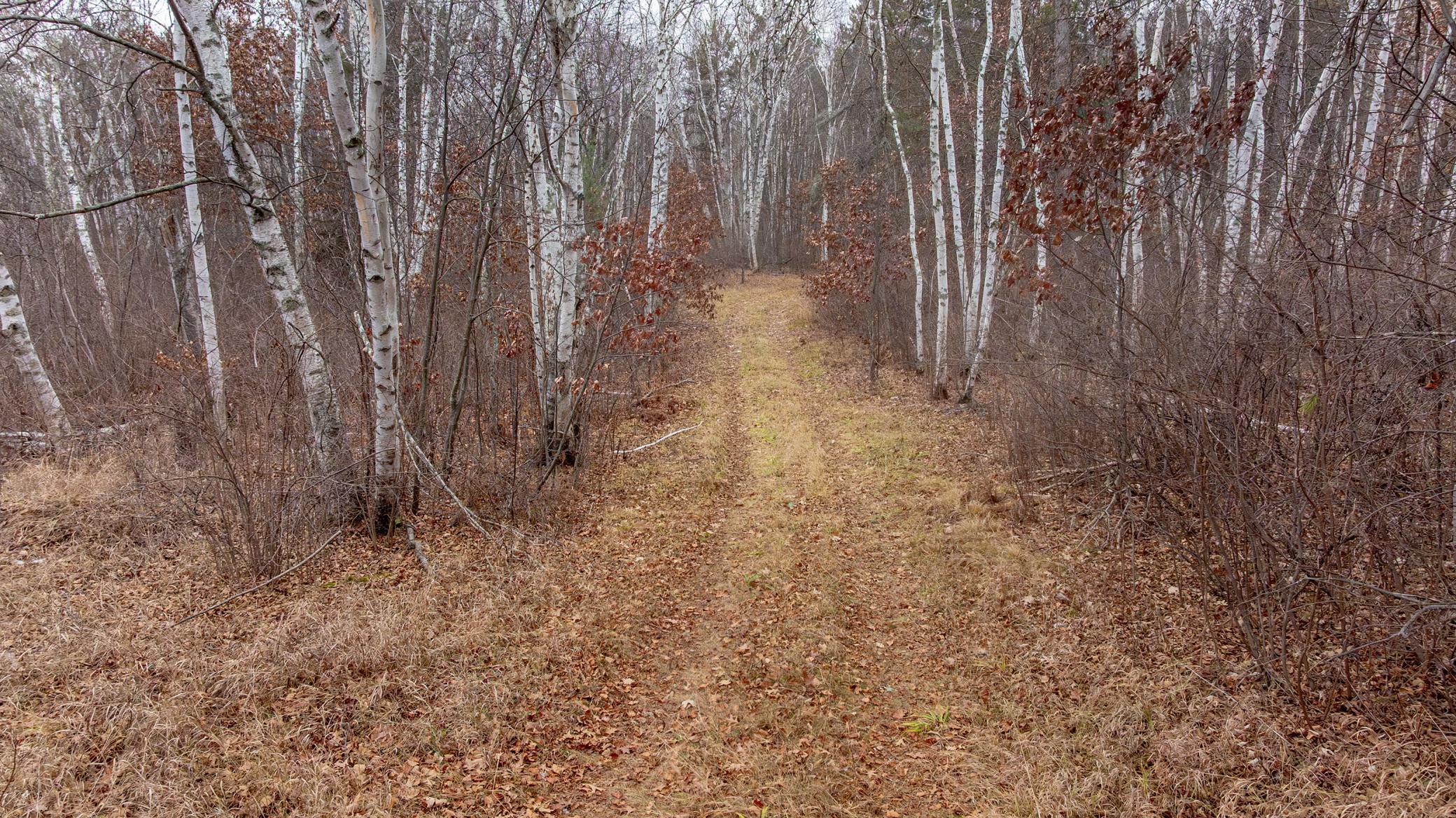 239 County 49 Northwest Pine River, MN 56474 - Photo 18 of 104