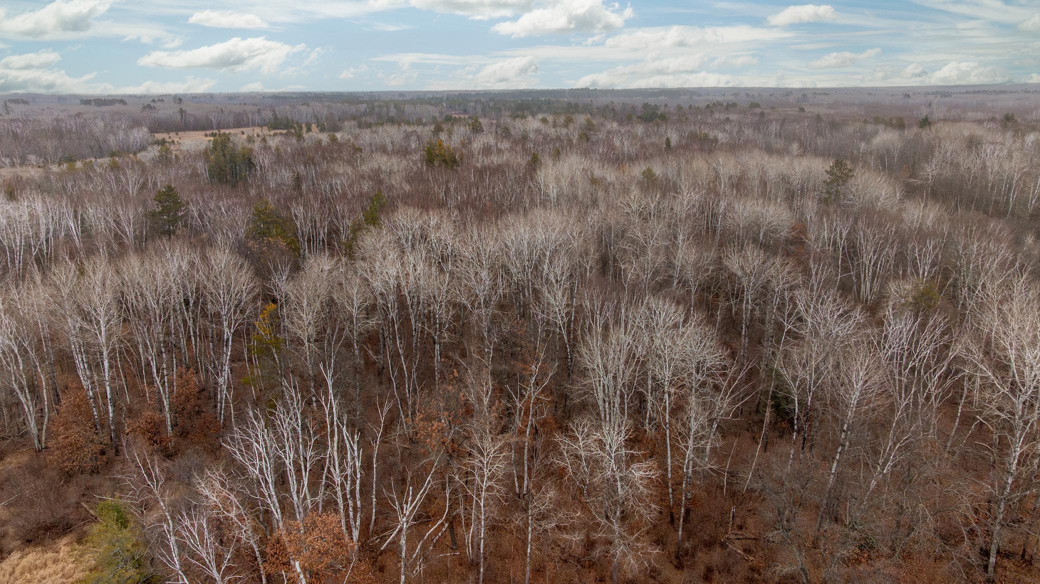 239 County 49 Northwest Pine River, MN 56474 - Photo 19 of 104
