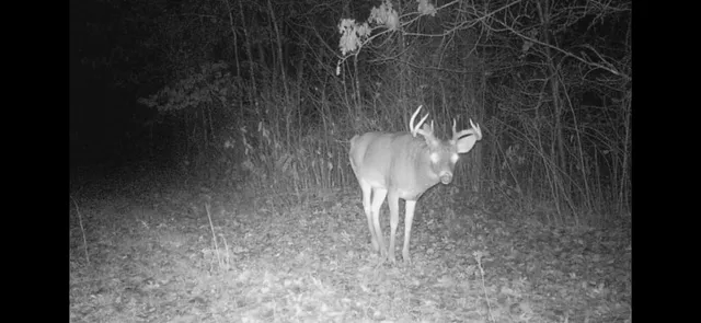 $609,400 | 239 County 49 Northwest, Pine River, MN 56474