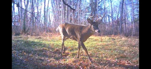 $619,400 | 239 County 49 Northwest, Pine River, MN 56474