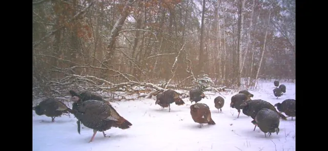 $609,400 | 239 County 49 Northwest, Pine River, MN 56474