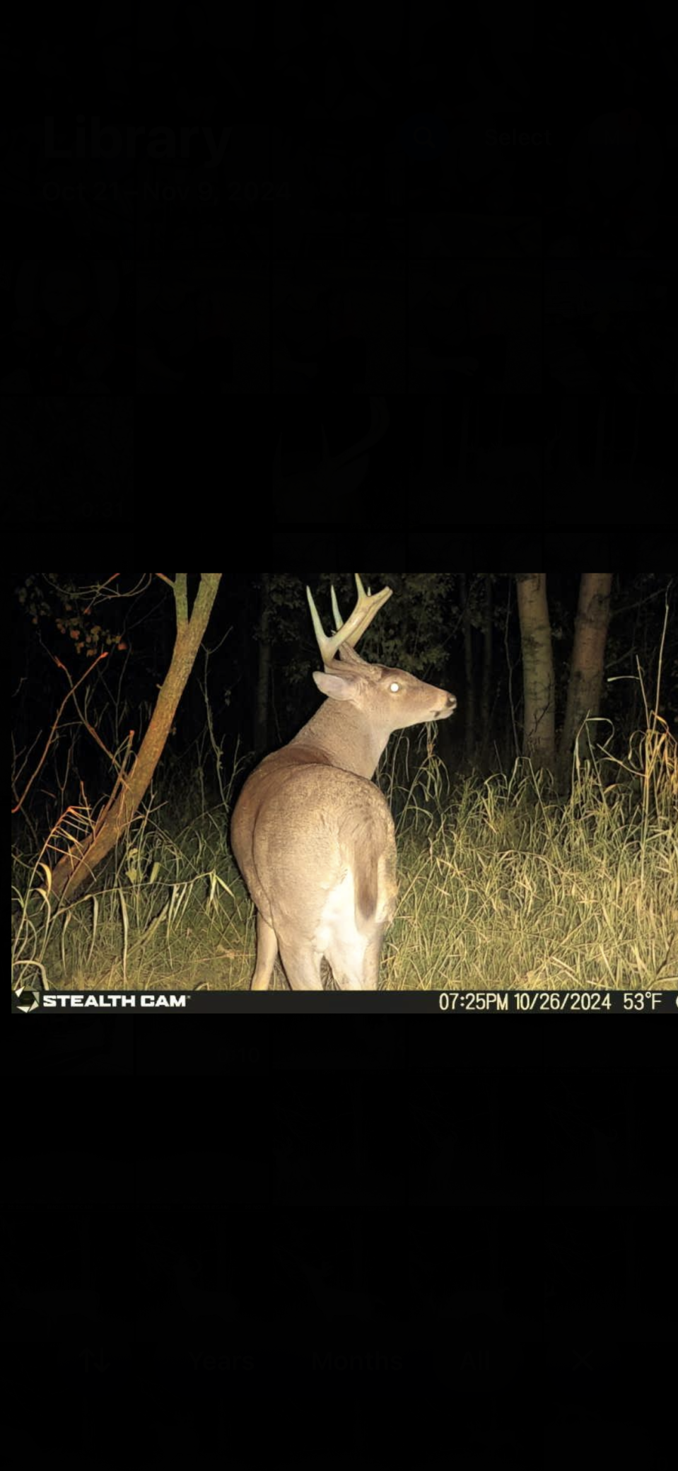 239 County 49 Northwest Pine River, MN 56474 - Photo 67 of 104