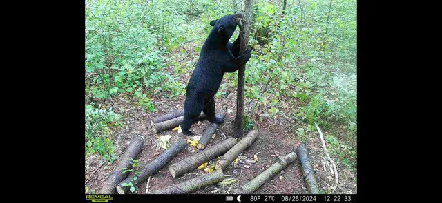 $609,400 | 239 County 49 Northwest, Pine River, MN 56474