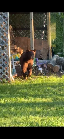 $609,400 | 239 County 49 Northwest, Pine River, MN 56474