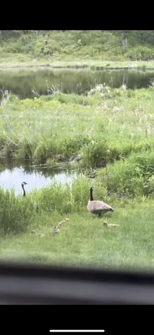 $609,400 | 239 County 49 Northwest, Pine River, MN 56474