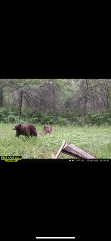 $609,400 | 239 County 49 Northwest, Pine River, MN 56474