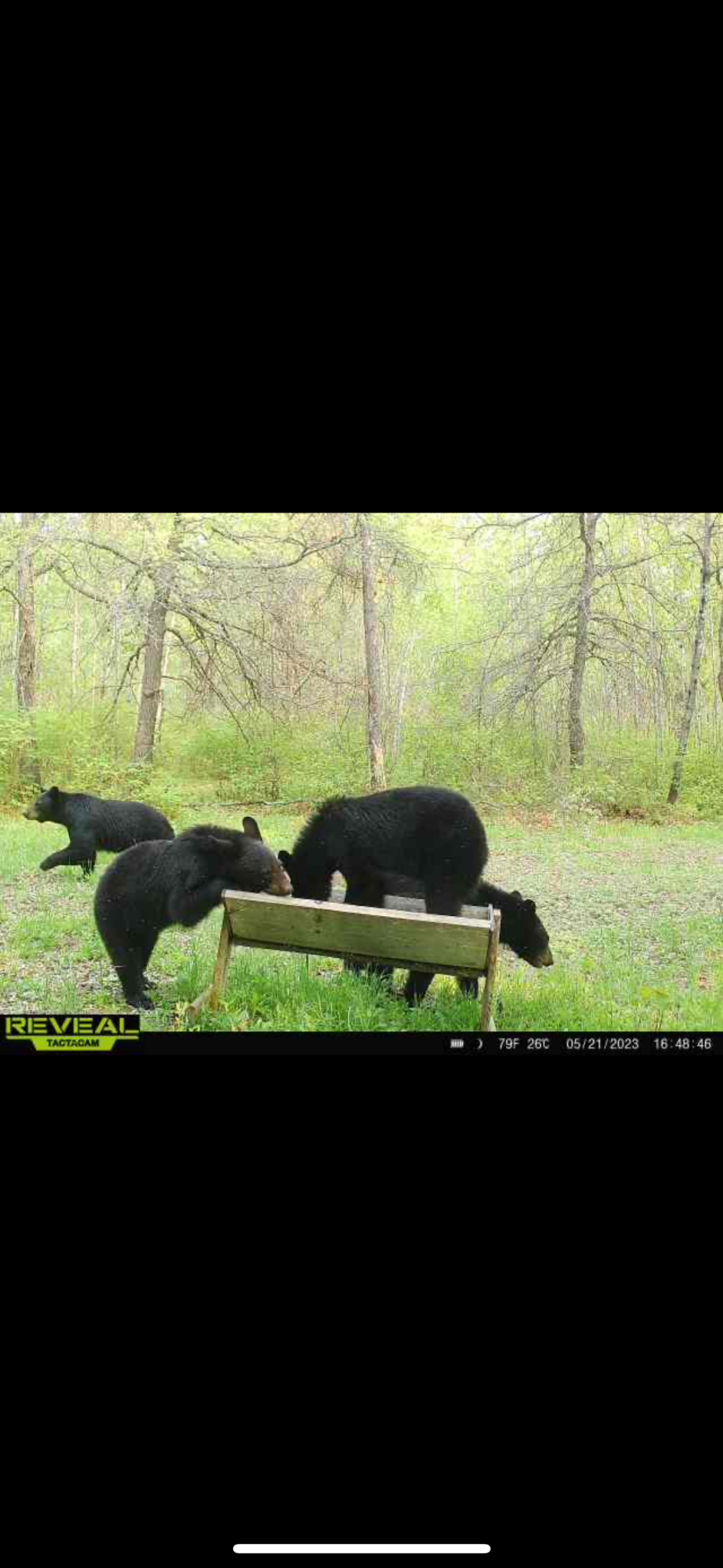 239 County 49 Northwest Pine River, MN 56474 - Photo 76 of 104