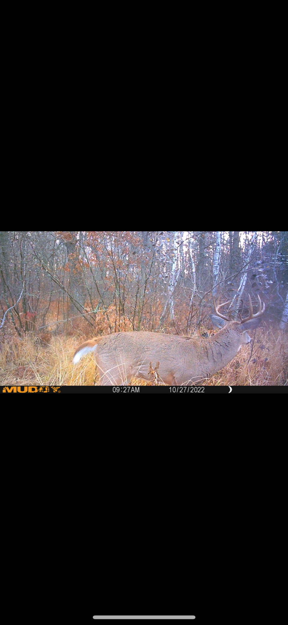 239 County 49 Northwest Pine River, MN 56474 - Photo 77 of 104