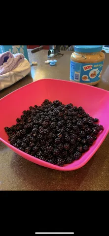 $609,400 | 239 County 49 Northwest, Pine River, MN 56474