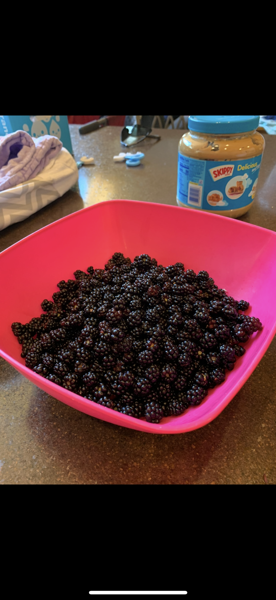 239 County 49 Northwest Pine River, MN 56474 - Photo 82 of 104