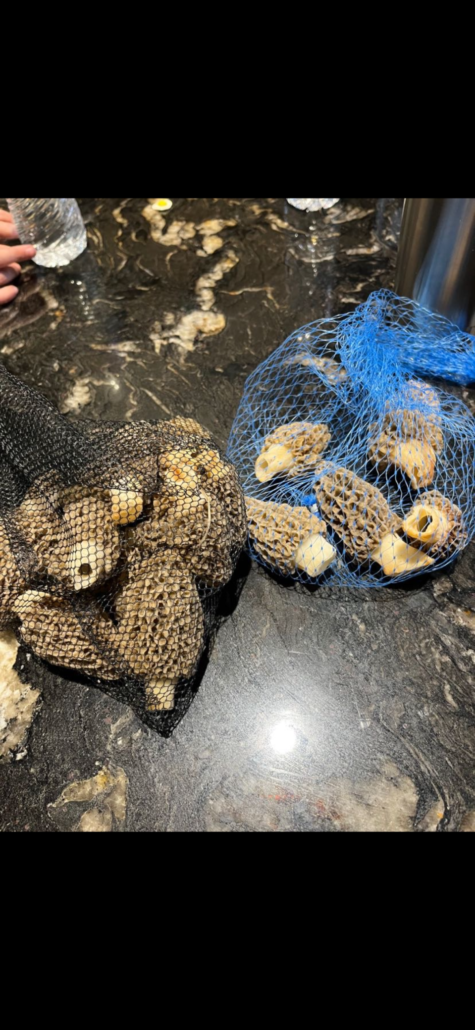 239 County 49 Northwest Pine River, MN 56474 - Photo 85 of 104