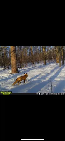 $609,400 | 239 County 49 Northwest, Pine River, MN 56474