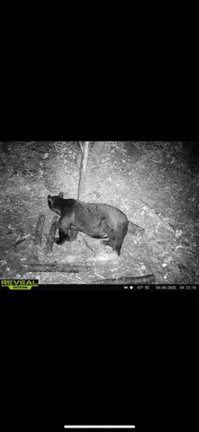 $609,400 | 239 County 49 Northwest, Pine River, MN 56474